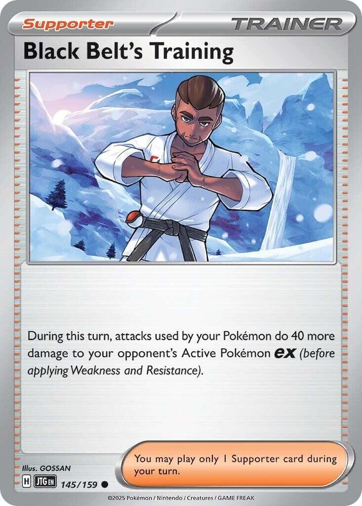 Black Belt's Training - 145/159 - SV09: Journey Together Reverse Holo