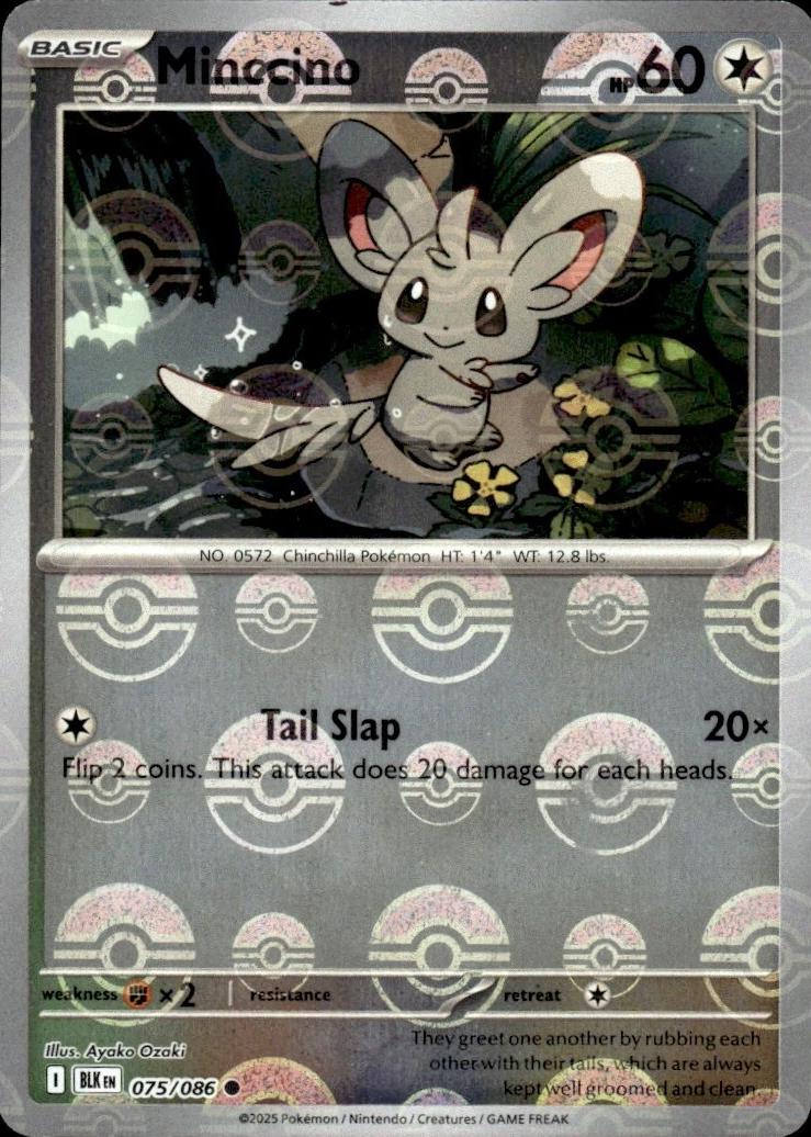 Minccino (Poke Ball Pattern) - 075/086 - SV: Black Bolt (BLK)