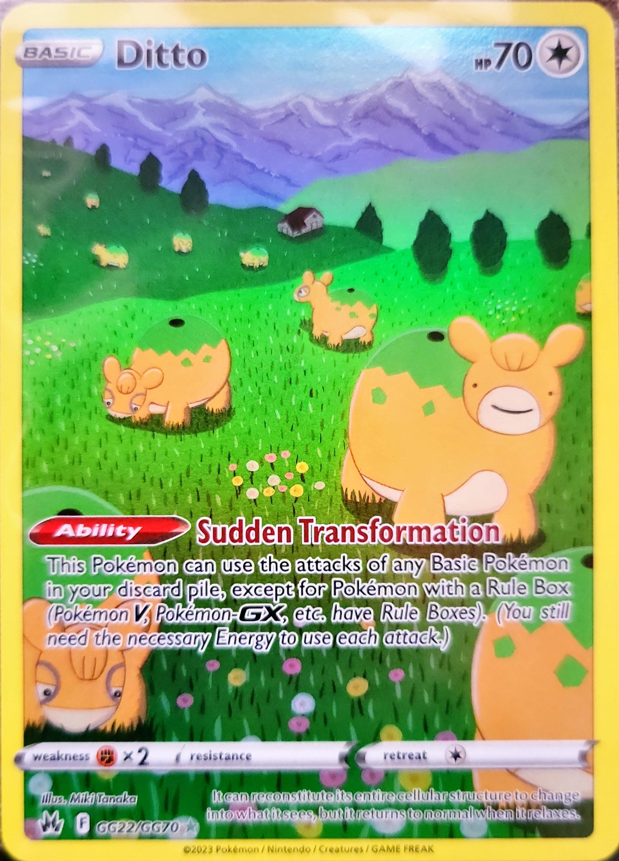 Ditto GG22/70