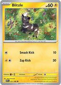 Blitzle  - 031/086  - White Flare (Reverse Holo)