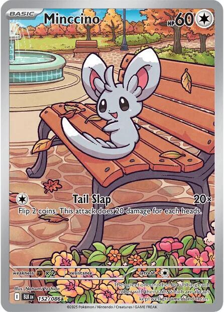 Minccino - 152/086 - Black Bolt